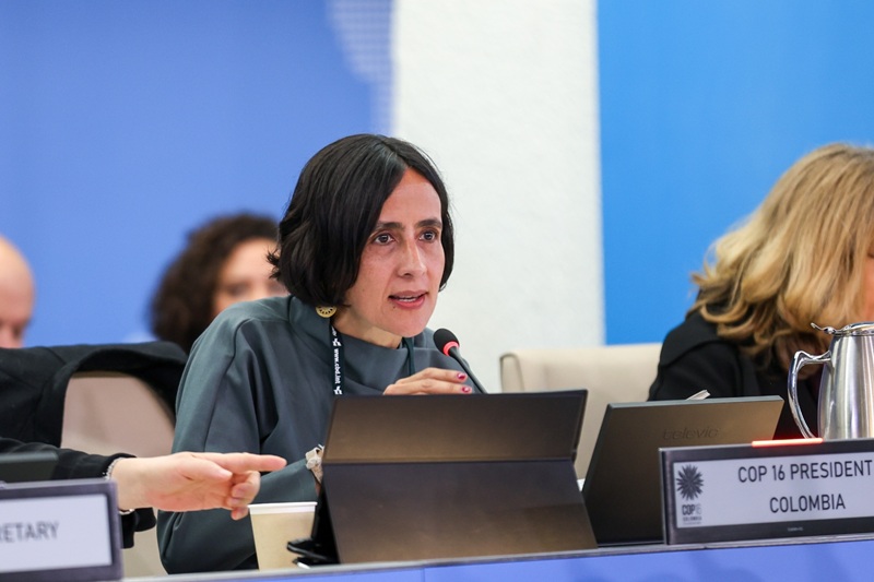 No son decisiones técnicas, son decisiones políticas: presidenta de la COP16 en Roma