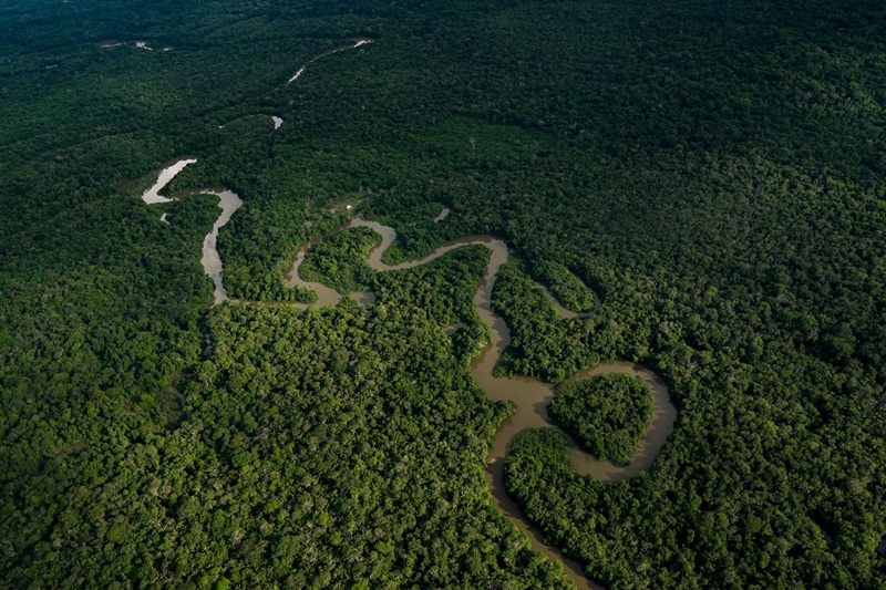Consejo de Estado niega medida cautelar contra Decreto 044 para el ordenamiento ambiental minero