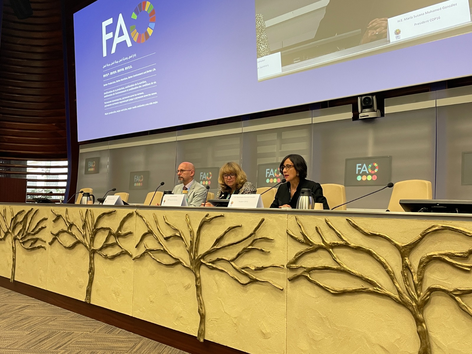 Optimismo en la reanudación de la COP16 de biodiversidad: el financiamiento como objetivo clave