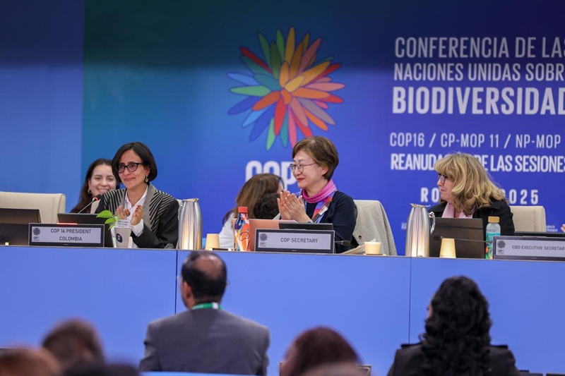 Logro histórico sobre financiamiento y monitoreo de la biodiversidad mundial en la cop16