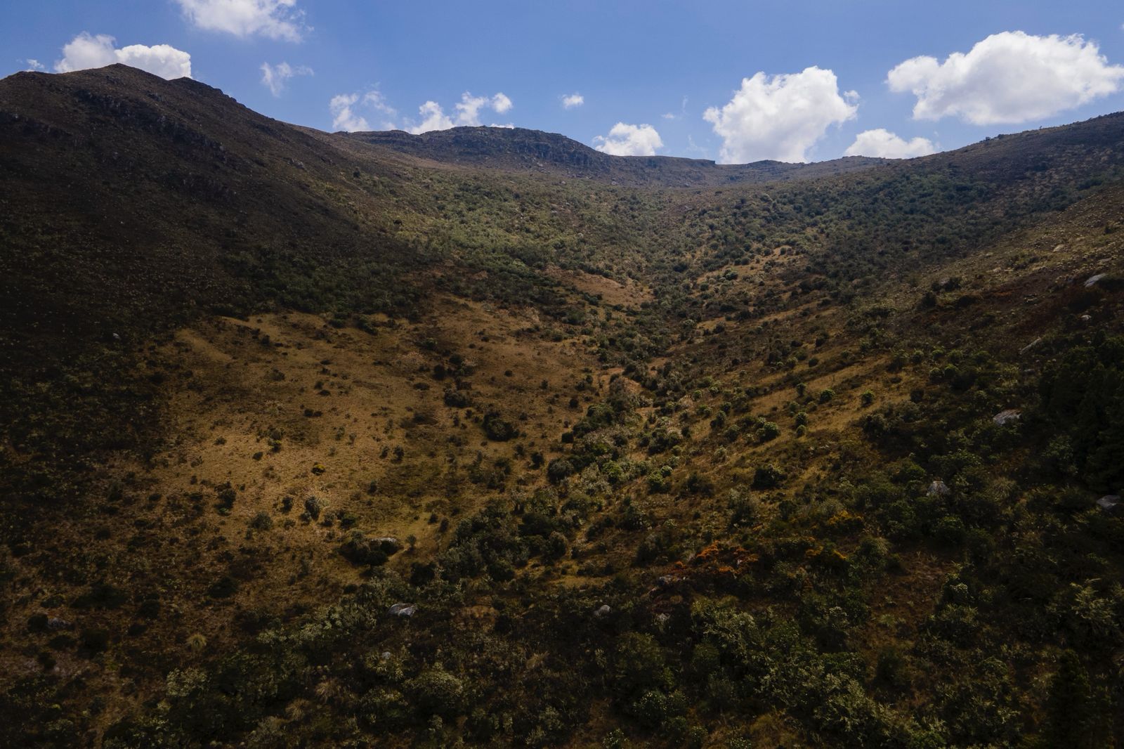 “Vamos por buen camino en la delimitación del páramo Cruz Verde-Sumapaz”: Minambiente