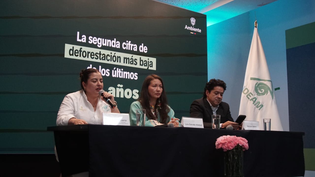 En 2024, Colombia consolidó la segunda cifra de deforestación más baja de la historia
