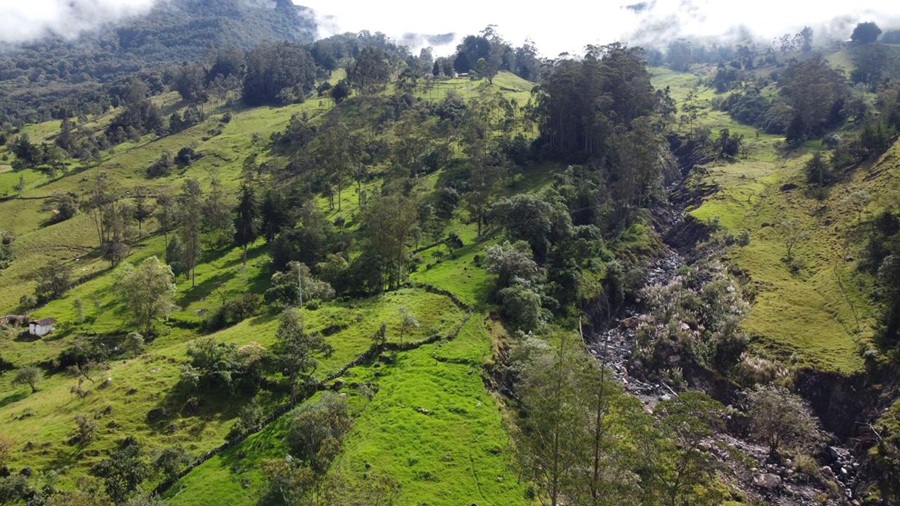 Tribunal de Bucaramanga anuló sanción económica contra el Ministerio de Ambiente