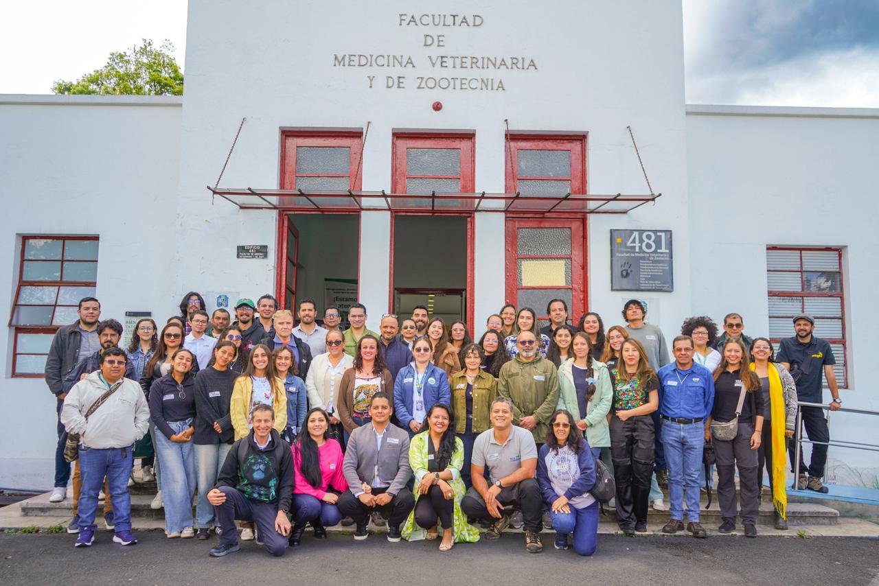 Felinos de los Andes en la agenda: Bogotá lidera taller regional para su conservación