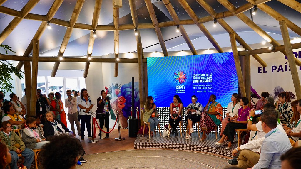 Participa en el Pabellón Colombia de la COP30: Conoce los ejes temáticos y criterios de selección