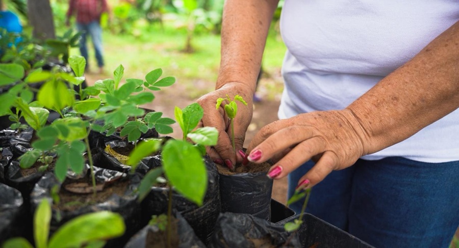 Minambiente avanza con rigor y transparencia en reglamentación de Ley de Áreas de Vida