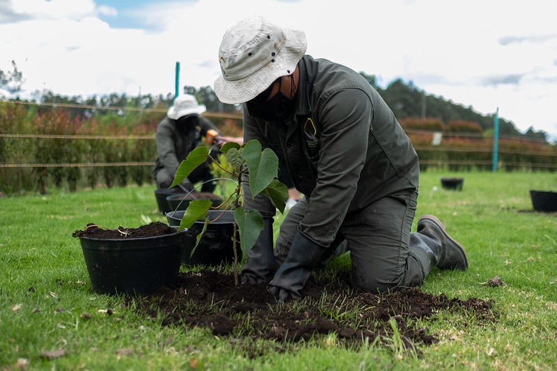 Minambiente reglamenta Ley de Áreas de Vida para fortalecer restauración ecológica en Colombia