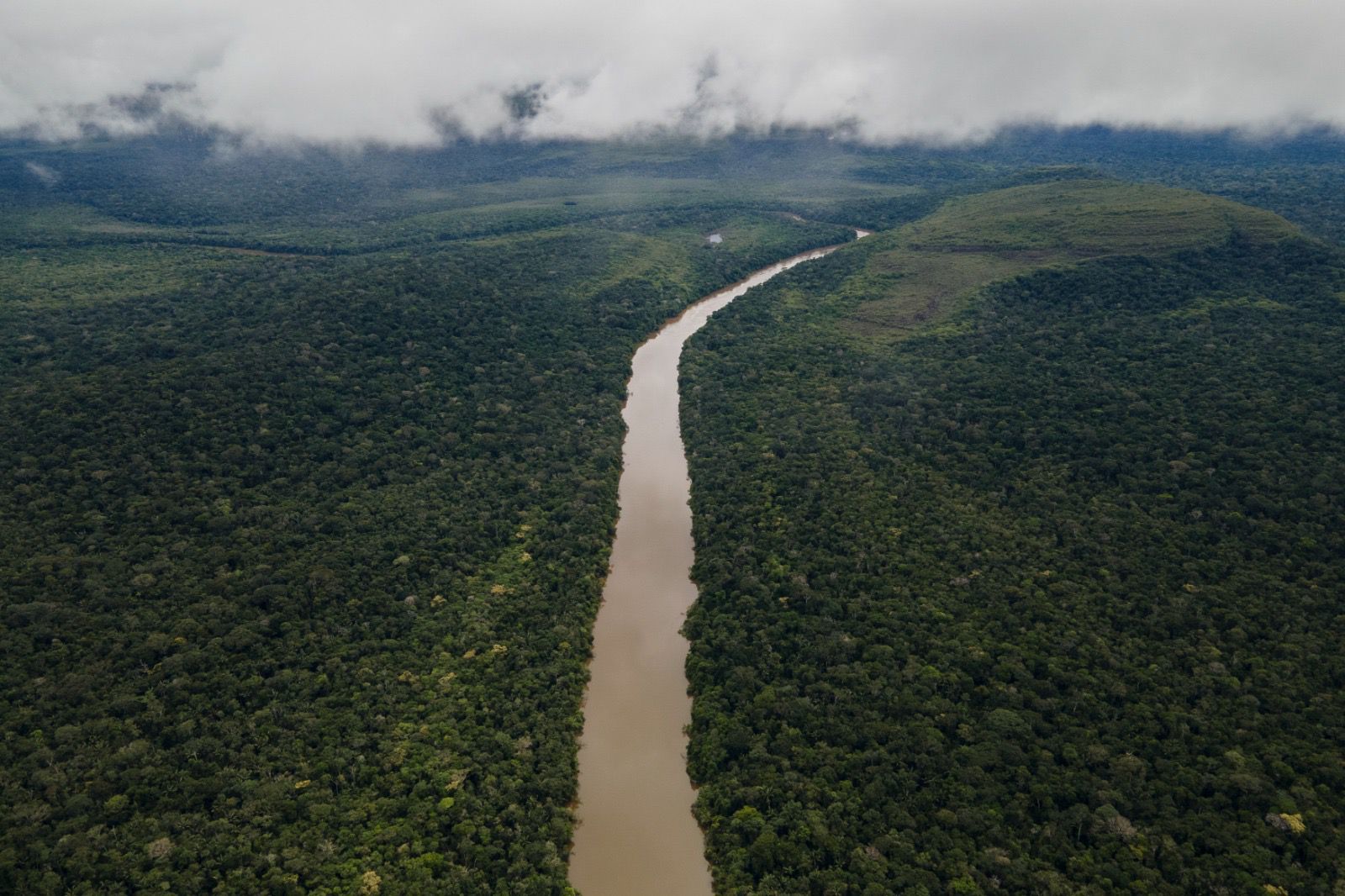 Amazonía colombiana reduce en 25% la deforestación estimada entre enero y septiembre de 2025