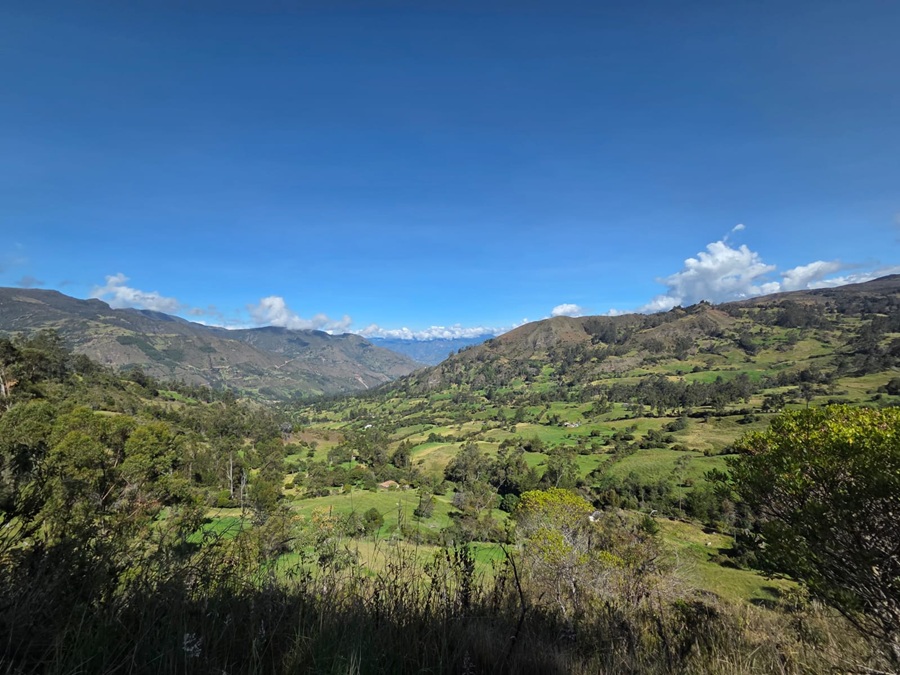 Gobierno reglamenta actividades de bajo impacto permitidas en reservas forestales