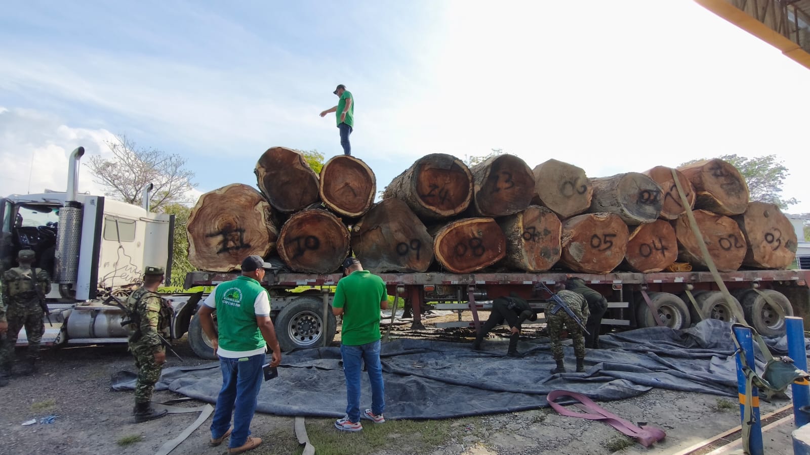 Más de 294 metros cúbicos decomisados en primer operativo nacional contra tráfico de madera