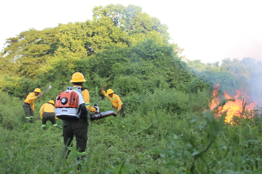 Minambiente activa medidas para actuar frente al fenómeno de El Niño